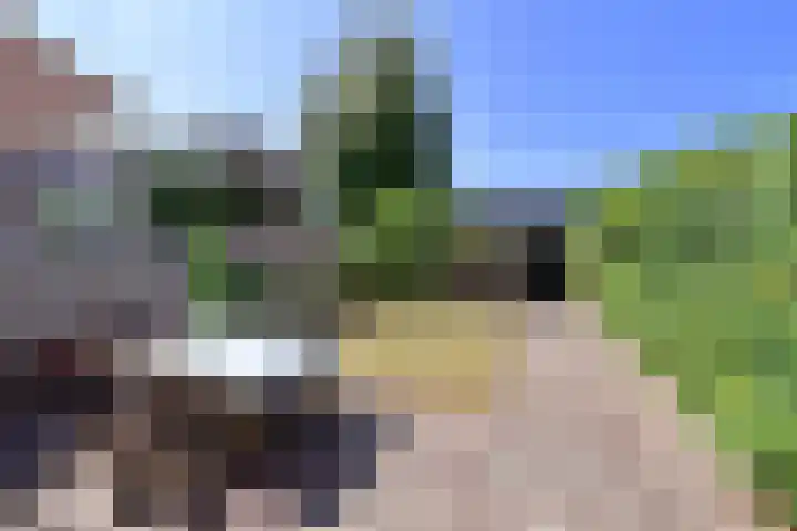 Kotter 26 Huizen thumbnail 17