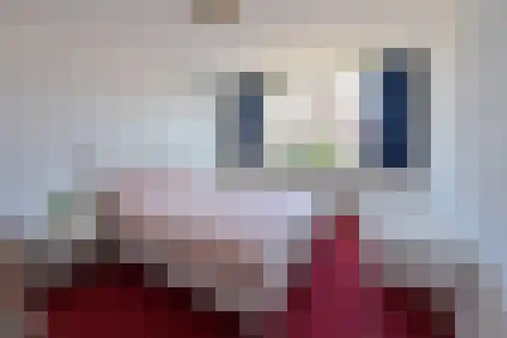 Kotter 26 Huizen thumbnail 9