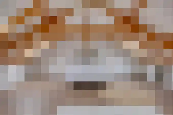 Kötterskamp 24 Daarle thumbnail 14