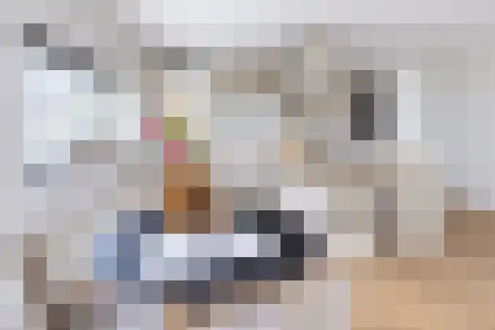 Kotterspad 35 Amsterdam thumbnail 15