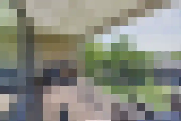 Kotterspad 35 Amsterdam thumbnail 9