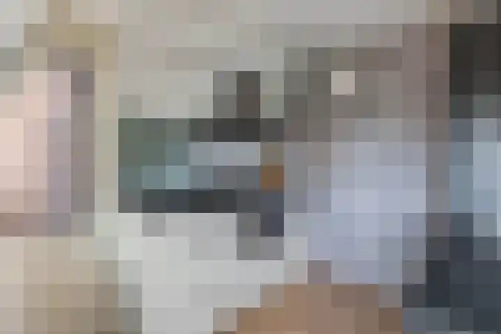 Koude Horn 123 Beverwijk thumbnail 18