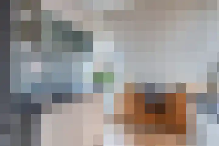 Koude Horn 123 Beverwijk thumbnail 19
