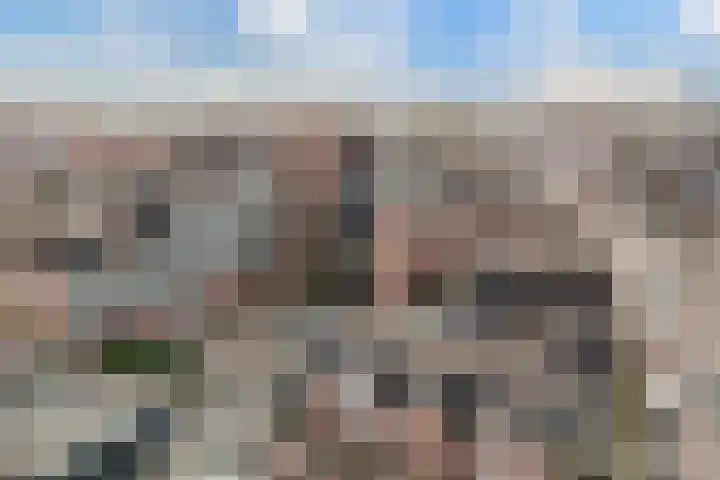Koude Horn 123 Beverwijk thumbnail 47