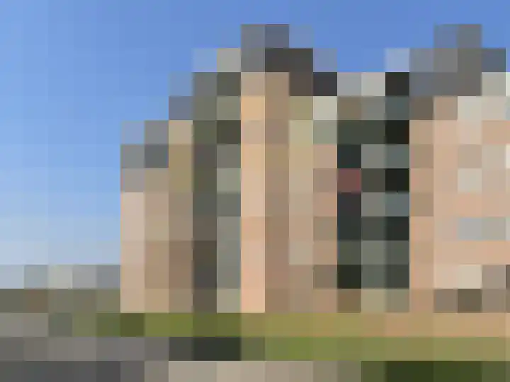 Koude Horn 65 Beverwijk thumbnail 22