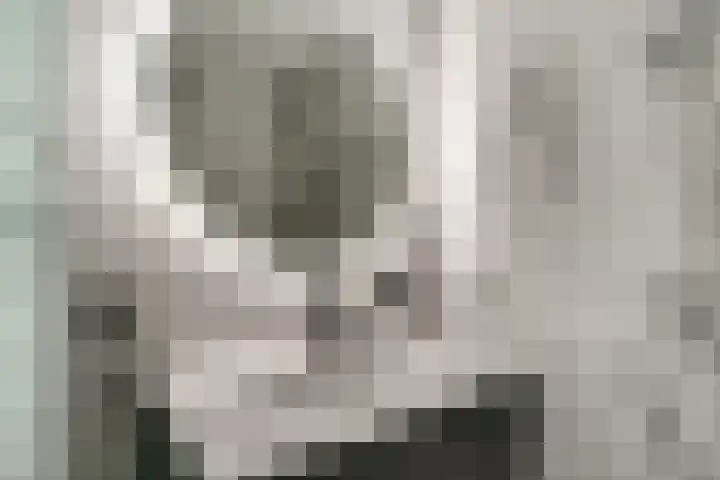 Koudekerkepad 10 Arnhem thumbnail 31