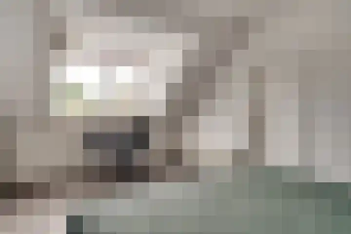 Koudekerkepad 10 Arnhem thumbnail 39