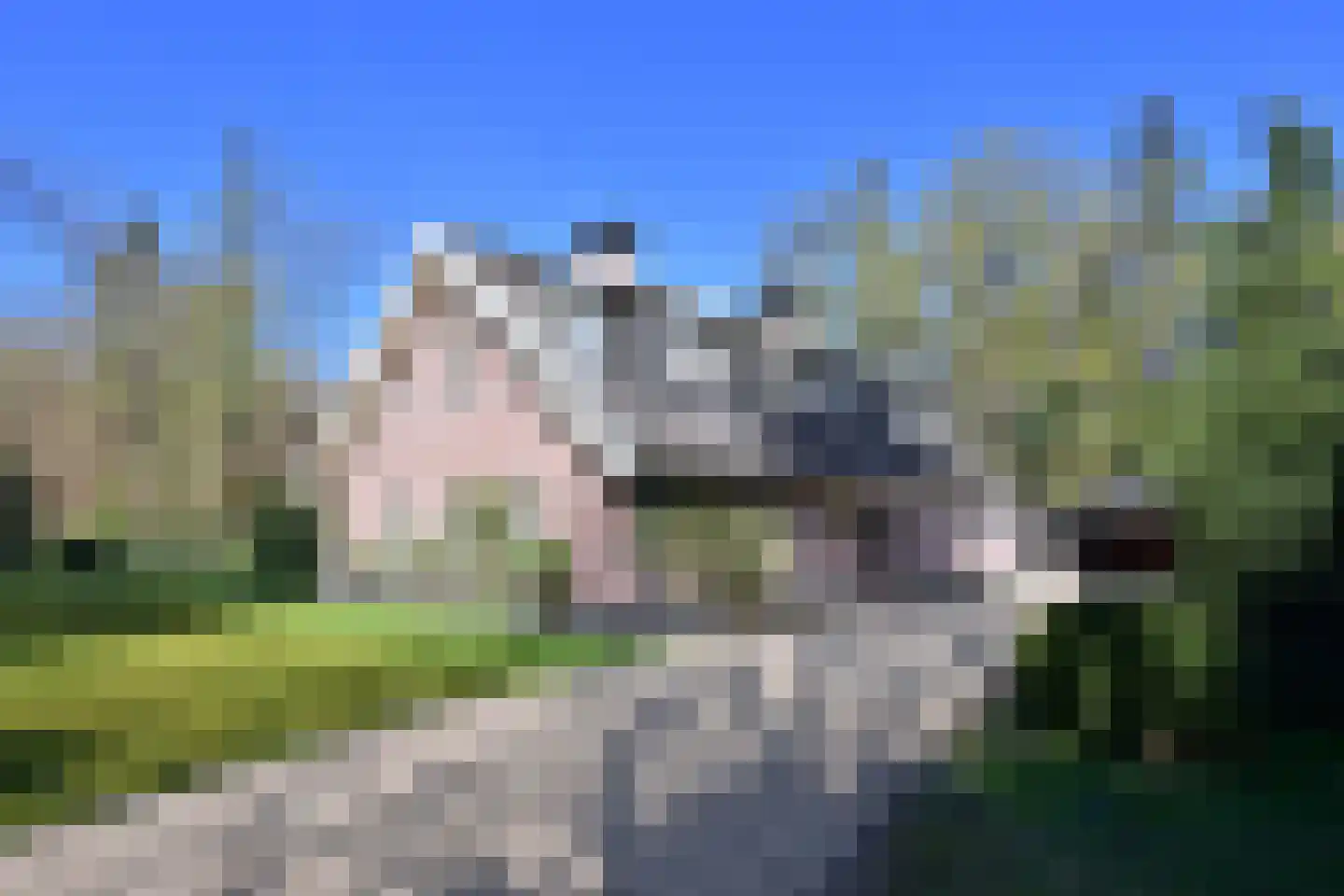 Koudelaan 14 A dans Lage Vuursche