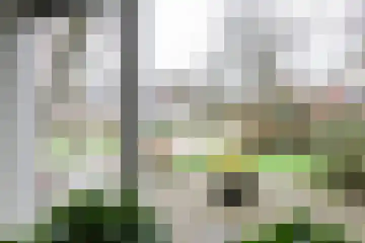 Koutenburg 51 Garyp thumbnail 17