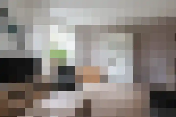 Koutenburg 51 Garyp thumbnail 21