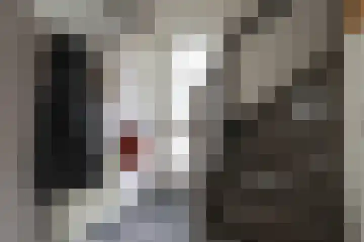 Koutenburg 51 Garyp thumbnail 32