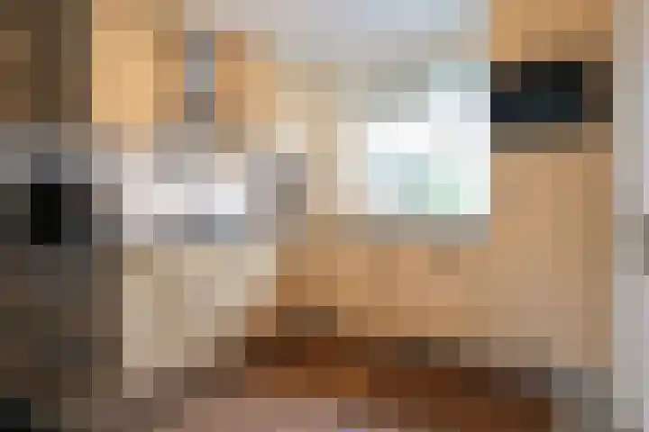 Koutenburg 51 Garyp thumbnail 4