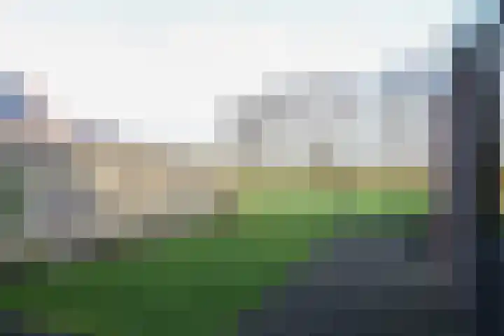 Koutenburg 51 Garyp thumbnail 50