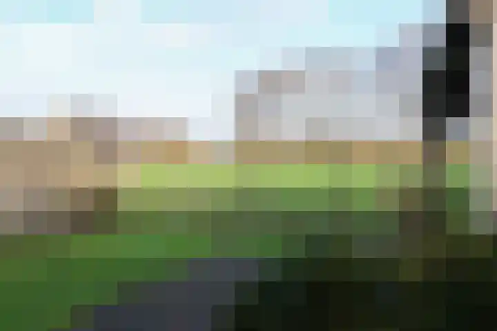 Koutenburg 51 Garyp thumbnail 57