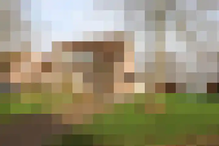 Koutenburg 51 Garyp thumbnail 8