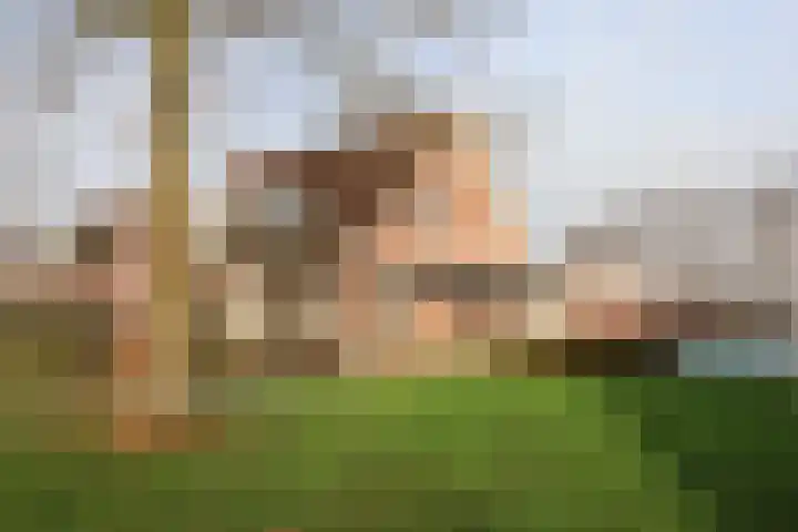 Koutenburg 51 Garyp thumbnail 9