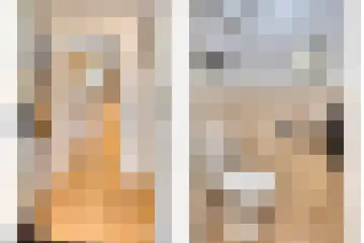 Kouter 53 Gemert thumbnail 11
