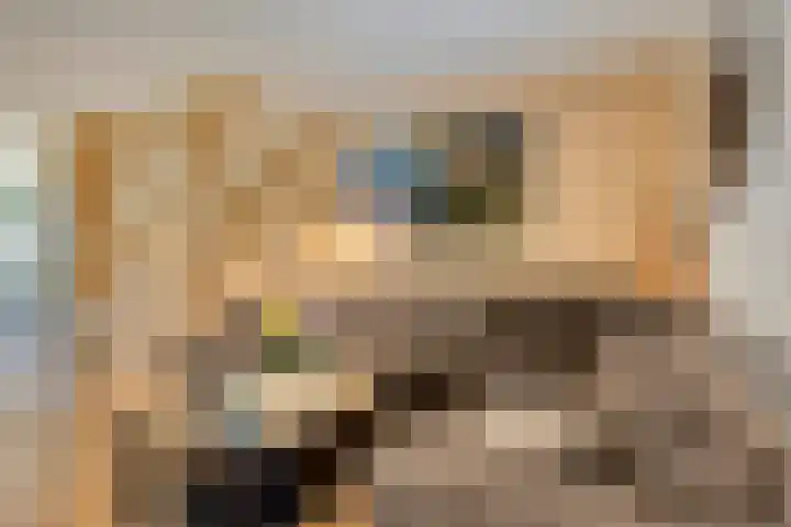 Kouter 53 Gemert thumbnail 13