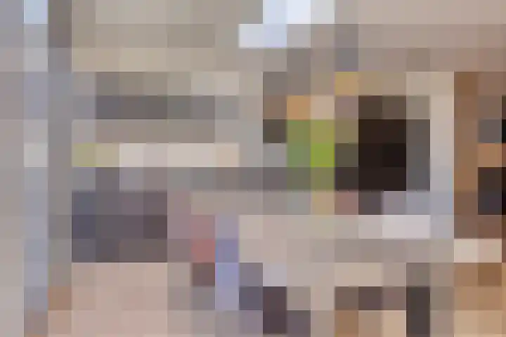 Kouter 53 Gemert thumbnail 20