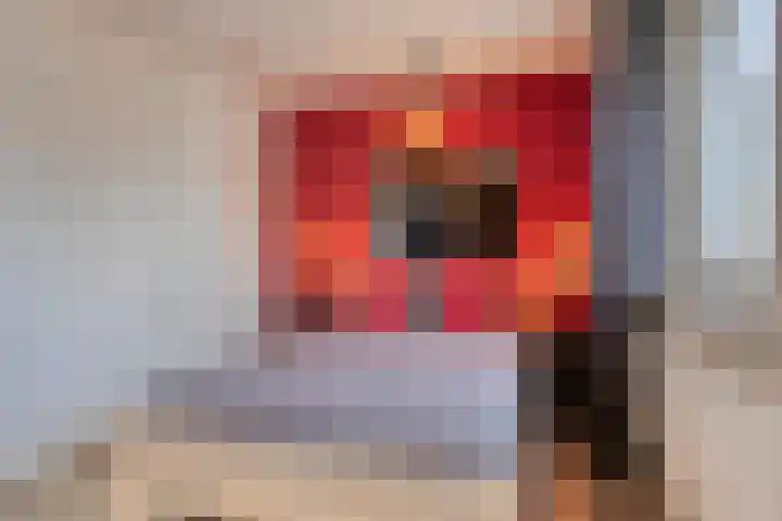 Kouter 53 Gemert thumbnail 27