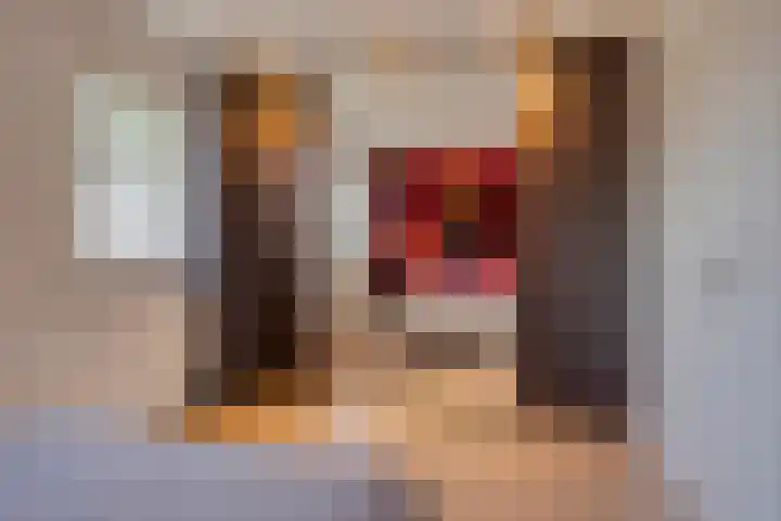 Kouter 53 Gemert thumbnail 28