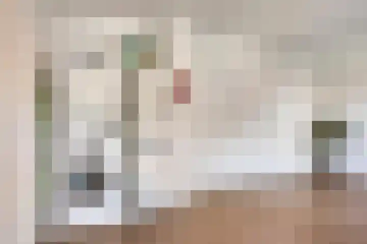Kouter 53 Gemert thumbnail 31