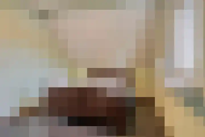 Kouter 53 Gemert thumbnail 35