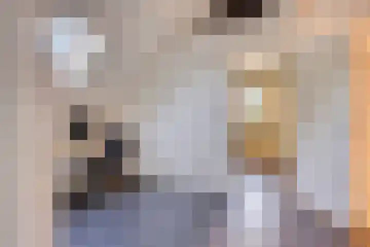 Kouter 53 Gemert thumbnail 37