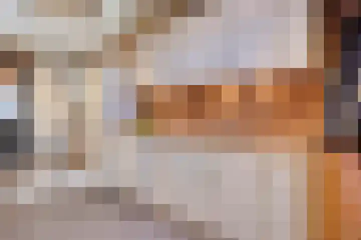 Kouter 53 Gemert thumbnail 42