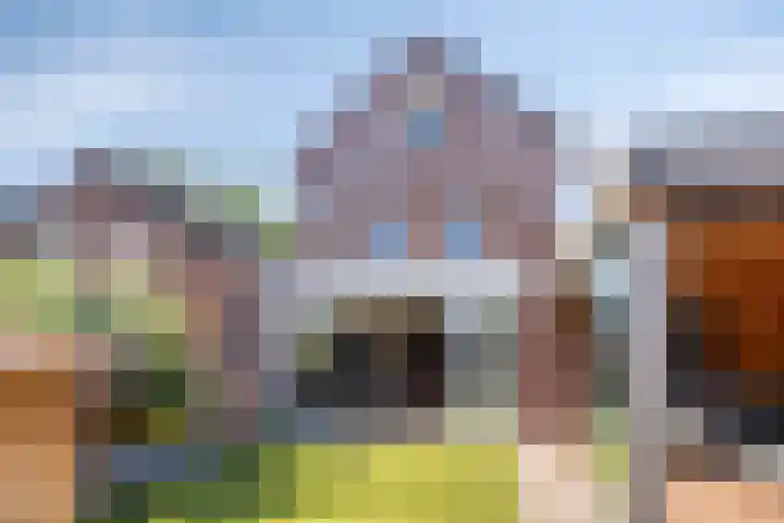 Kouter 53 Gemert thumbnail 44