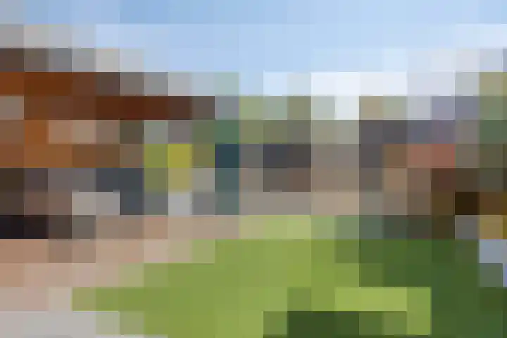 Kouter 53 Gemert thumbnail 45