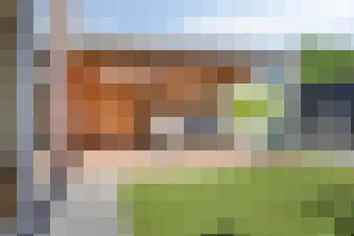 Kouter 53 Gemert thumbnail 46