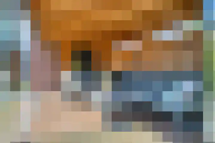 Kouter 53 Gemert thumbnail 49