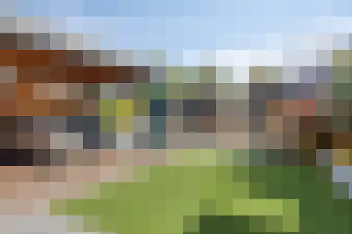 Kouter 53 Gemert thumbnail 5