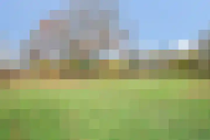 Kouter 53 Gemert thumbnail 51