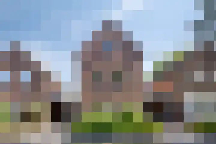 Kouter 53 Gemert thumbnail 7
