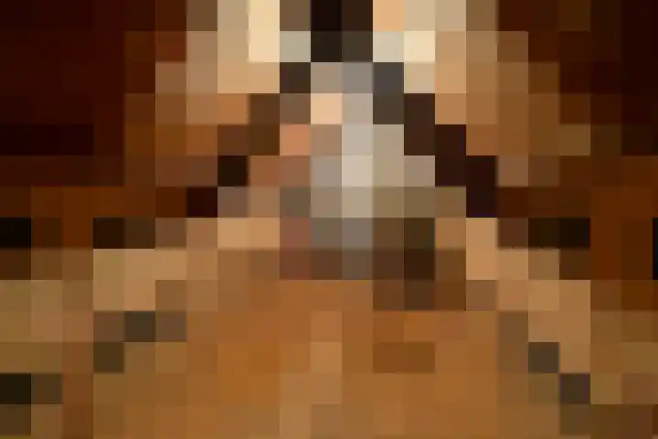 Kouterstraat 6 Amsterdam thumbnail 14