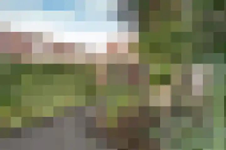 Kouterstraat 6 Amsterdam thumbnail 15