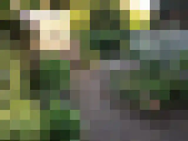 Kouterstraat 6 Amsterdam thumbnail 17