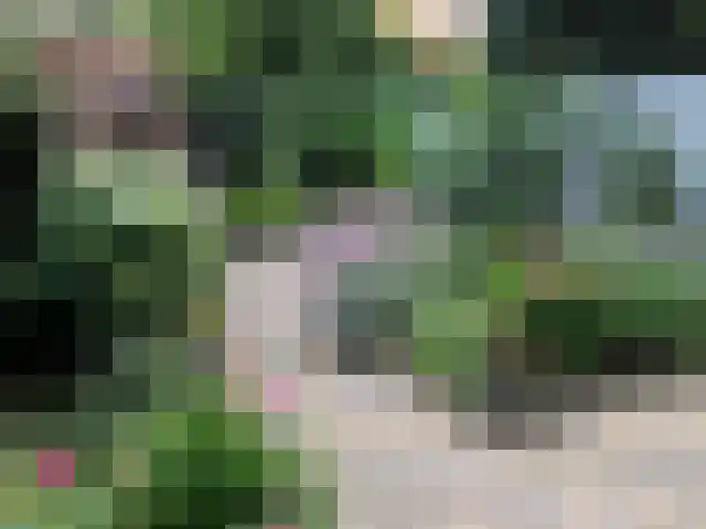 Kouterstraat 6 Amsterdam thumbnail 19