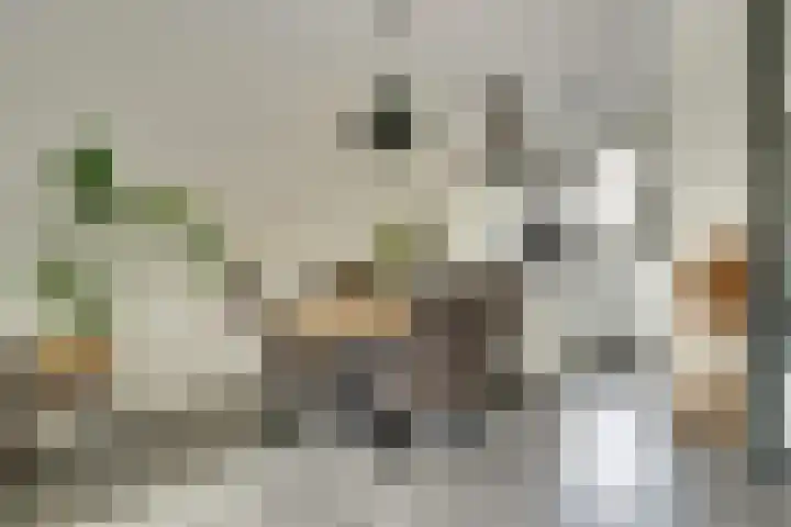 Kouterstraat 6 Amsterdam foto 2