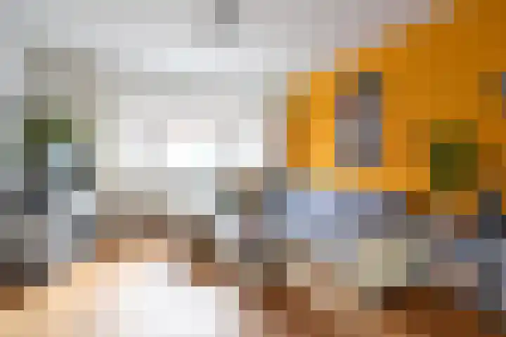 Kouterstraat 6 Amsterdam thumbnail 4