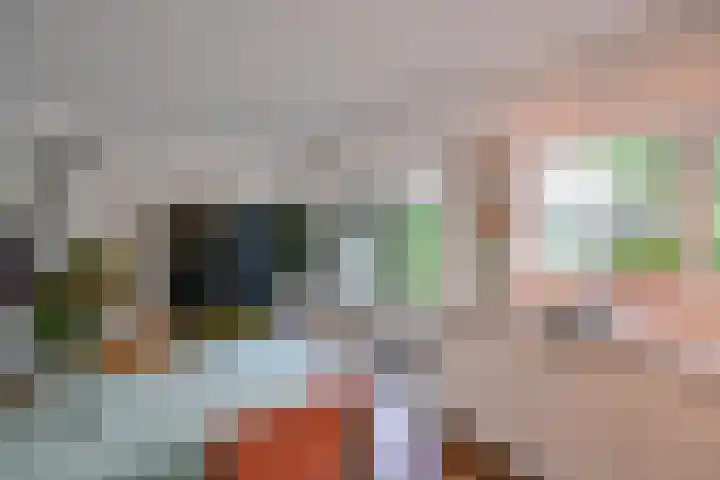 Kouterstraat 6 Amsterdam thumbnail 7