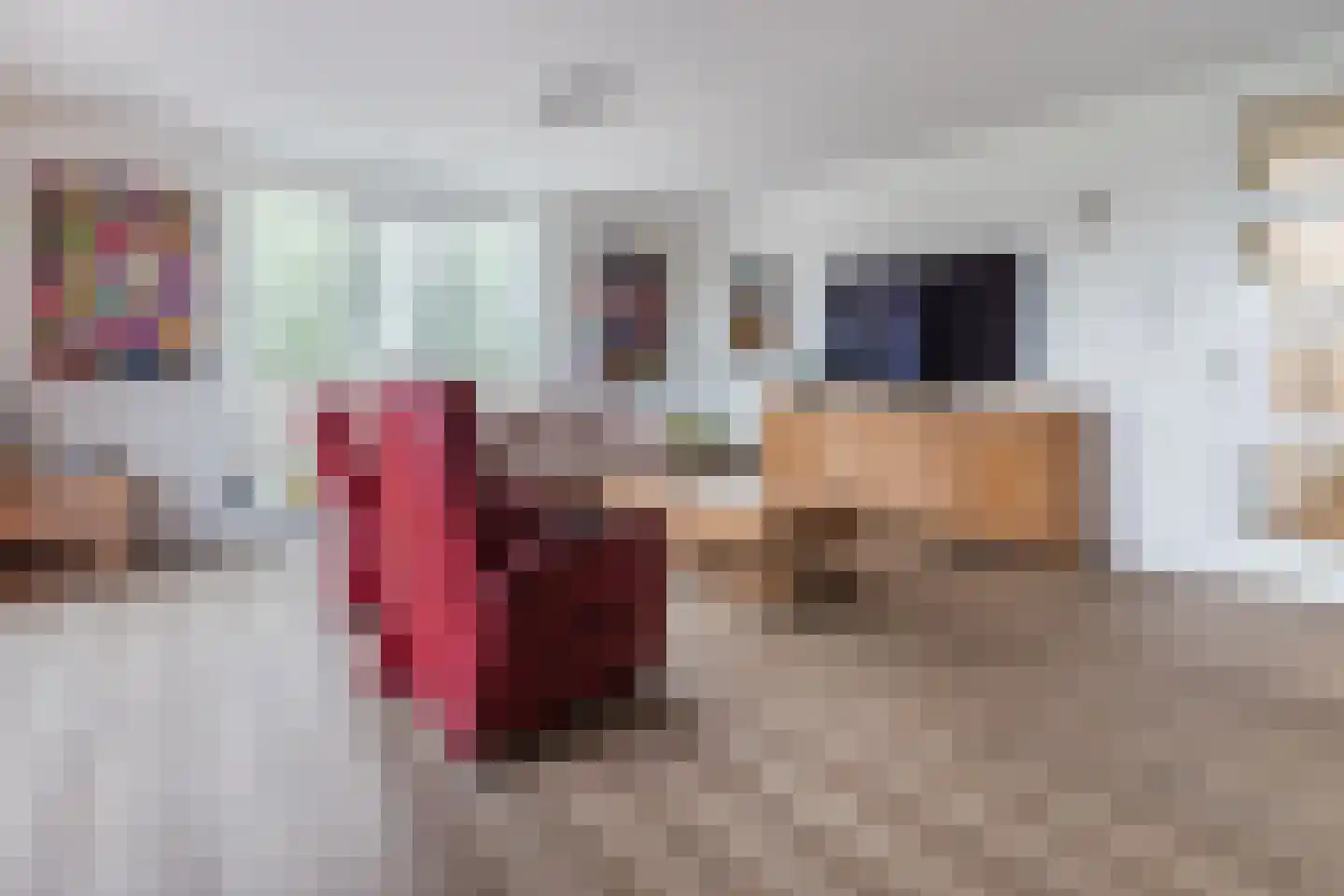 Kouterven 11 Veghel thumbnail 10