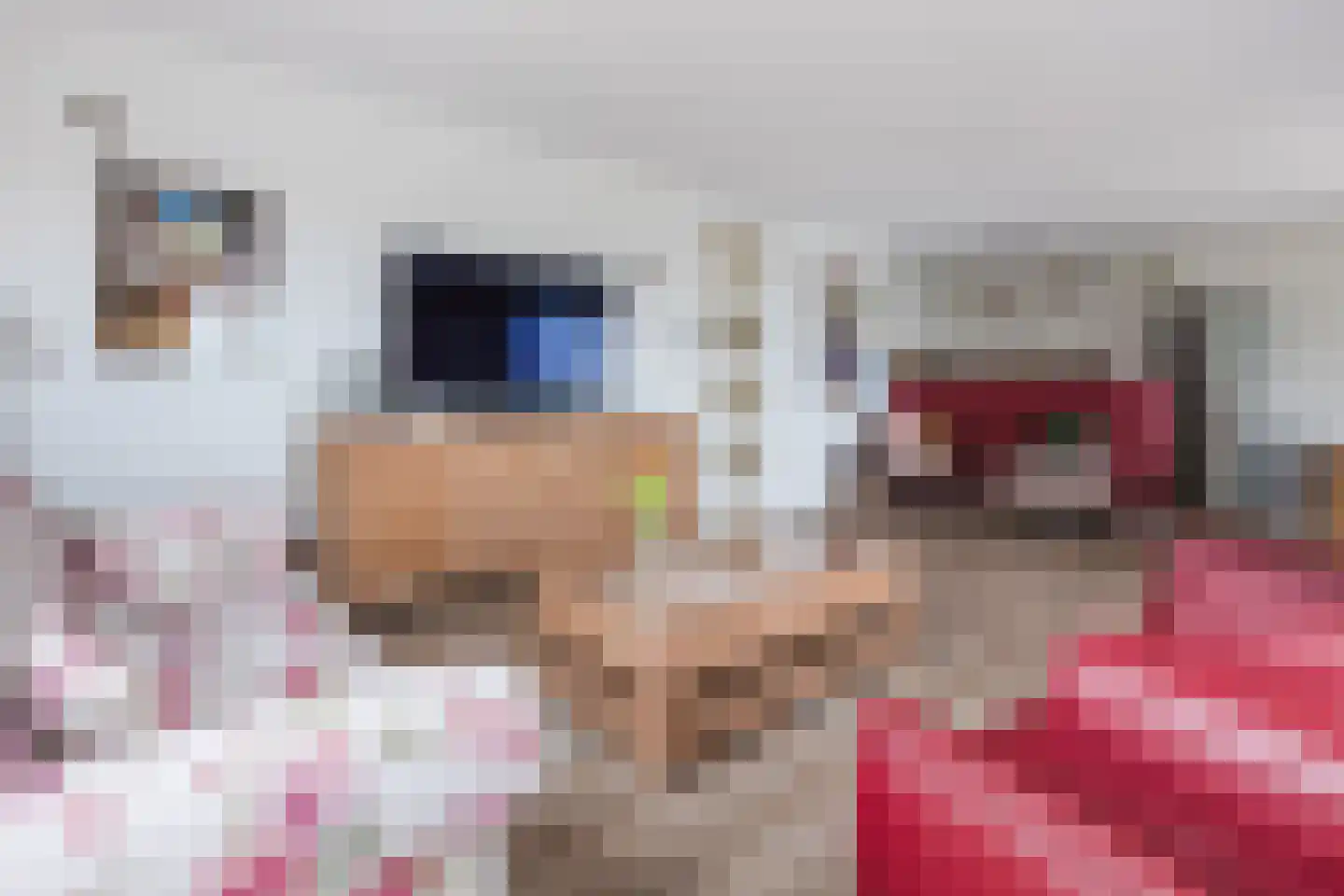 Kouterven 11 Veghel thumbnail 11