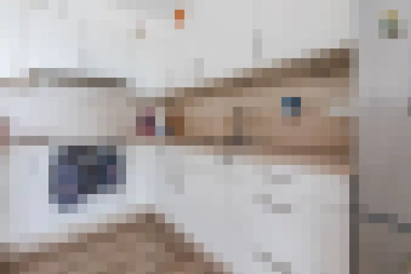 Kouterven 11 Veghel thumbnail 17