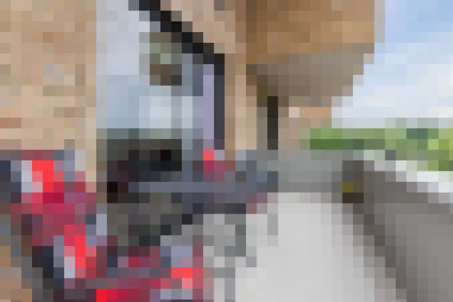 Kouterven 11 Veghel thumbnail 29