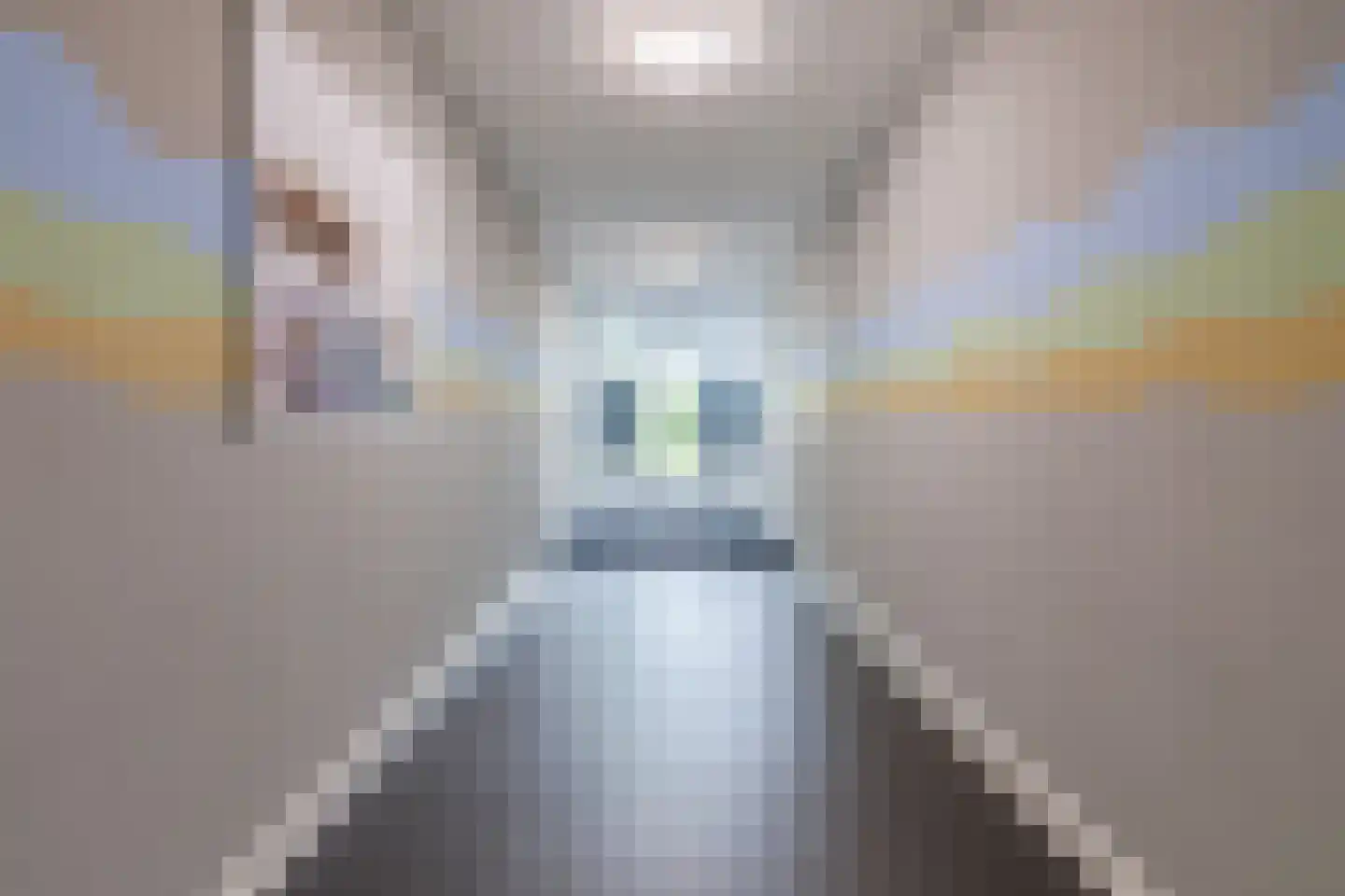 Kouterven 11 Veghel thumbnail 4