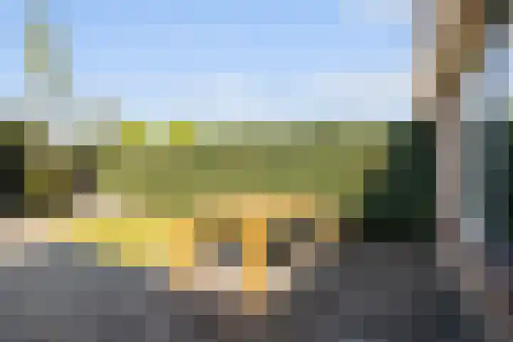 Kraaiekamp 61 Elst thumbnail 26