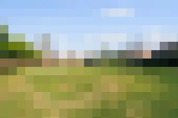 Kraaiekamp 61 Elst thumbnail 33